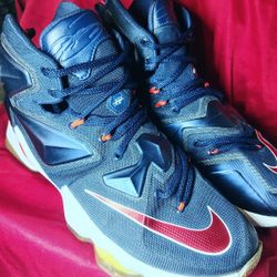 LeBron James Xlll (TEAM USA OLYMPIC COlORWAY)