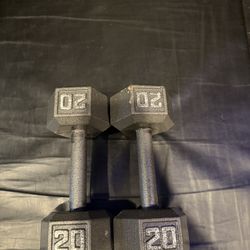 20lb Dumbells 