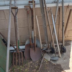 Estate Sale 