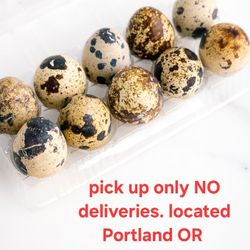 Fresh Quail Eggs 