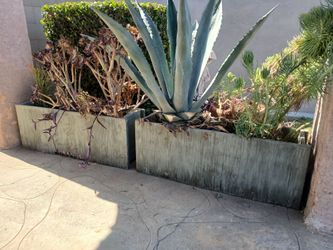2 Raised Planters  ( with or without plants)