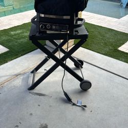  Ninja Smoker/pellet Grill