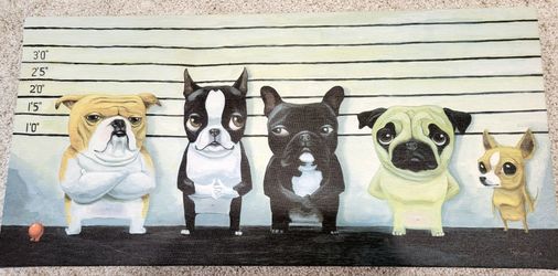 Dog Picture - Gift 🎁 Idea