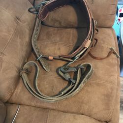 CLIMBING BELT BASHLIN IND & POLE STRAP