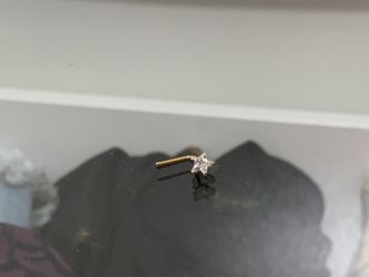 Nosering/bellyring (unused)