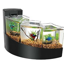 Fish Tank