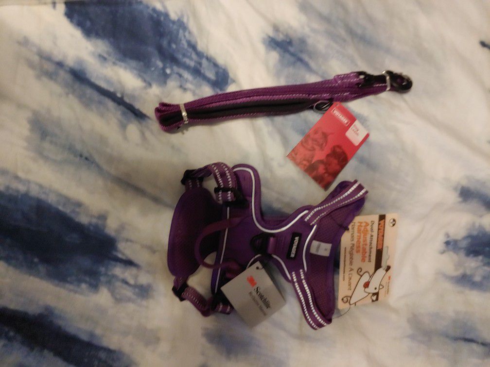 Small Purple Harness With 5ft Leash, Dog, Animal, Pet