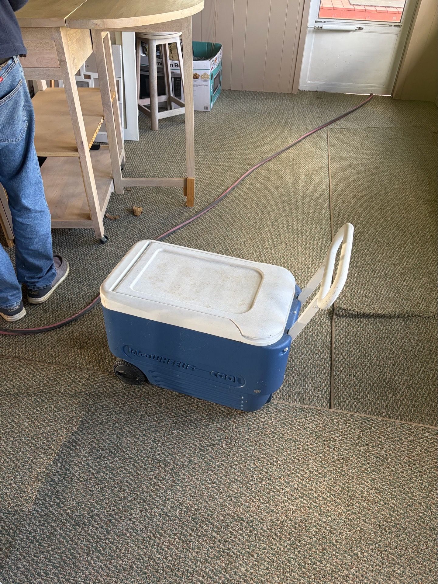 Igloo wheelie cooler
