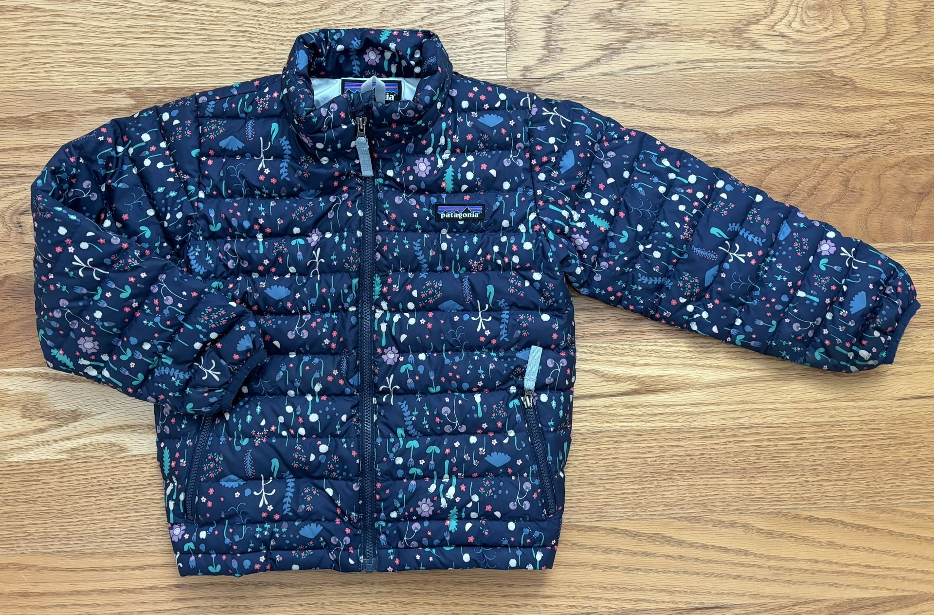 Patagonia Down Sweater Jacket in Forrest Forage Neo Navy - 5T