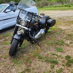 2020 Harley Davidson Softtail Slim FLSL