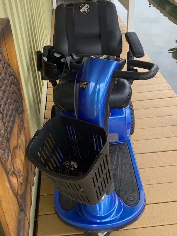 Golden Electric Scooter - Companion