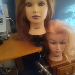 Cosmetology Heads, And More