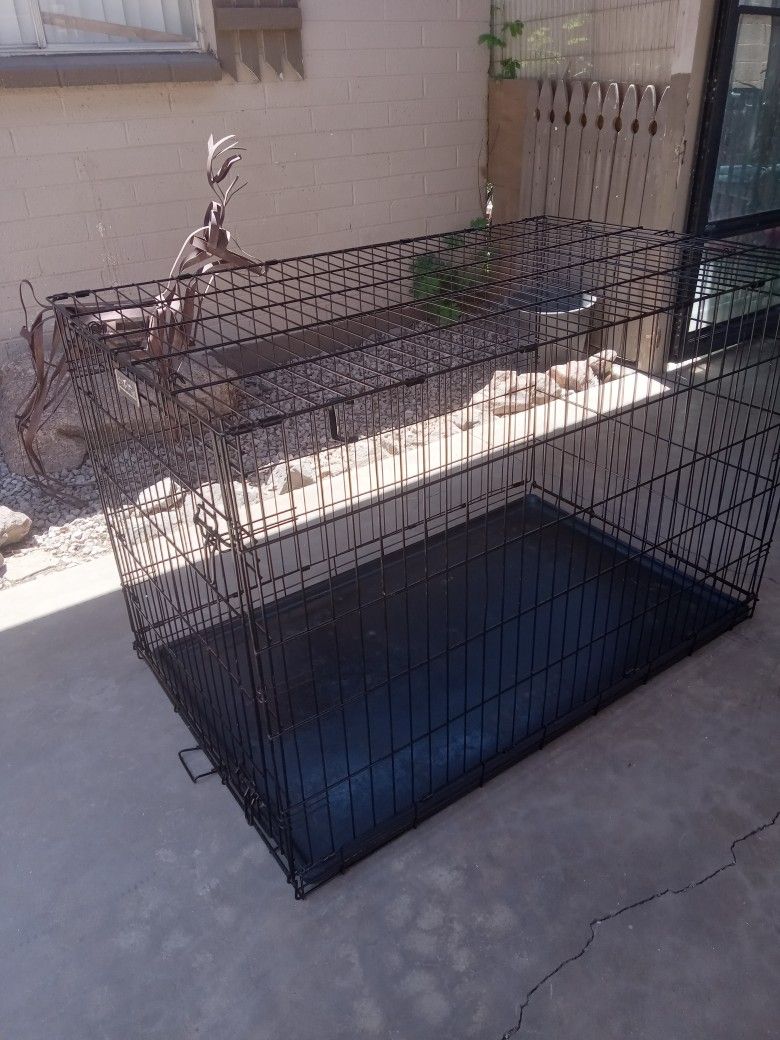 XL CARRIER DOG VERY GOOD CONDITION