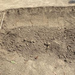 Free Dirt