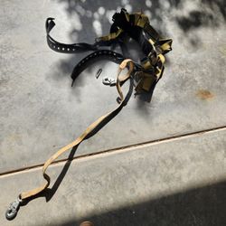 Lanyard And Harness 