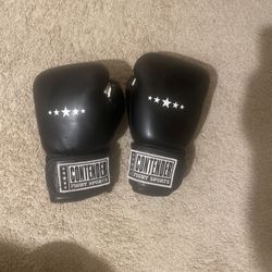 Boxing Gloves 