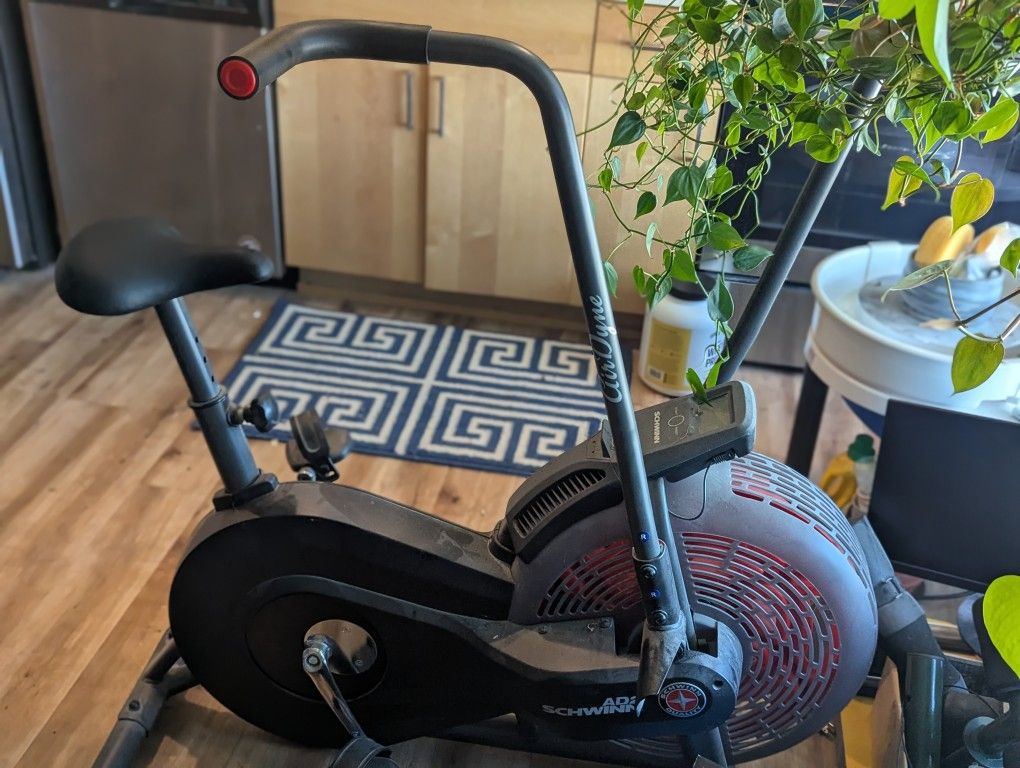 Schwinn AD2 Airdyne