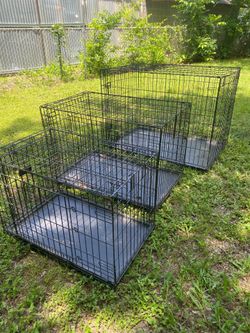Jaulas para perro / Dog Cage