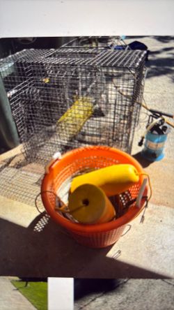 Shrimp Pot