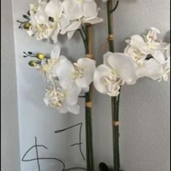 Decoración Para Cuarto De Nińa