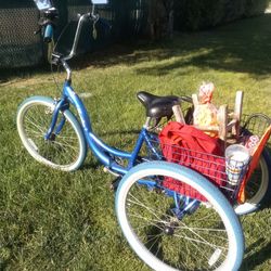 Schwinn meridian tricycle