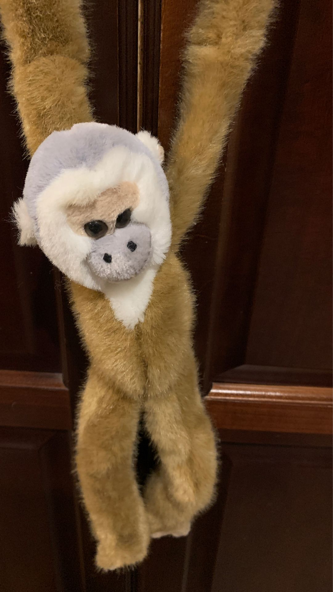 Like *NEW* stuffed Monkeys (7)