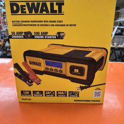 Dewalt DXAEC100 30 Amp Battery Charger