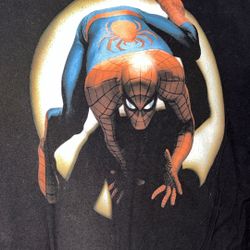 Marvel Spider-Man Men's T-Shirt Large $20