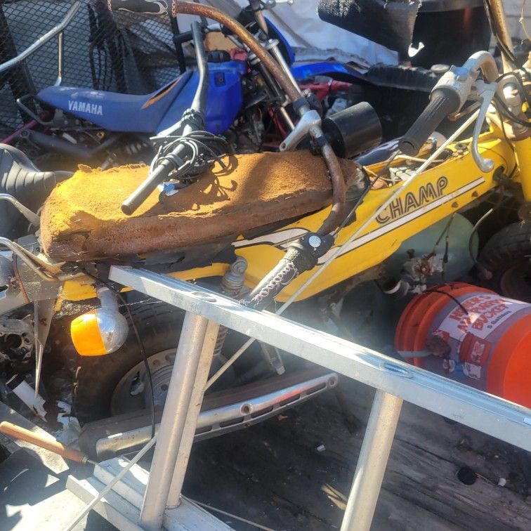 Yamaha Cub