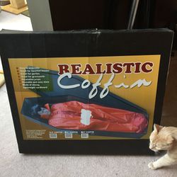Realistic coffin never used!