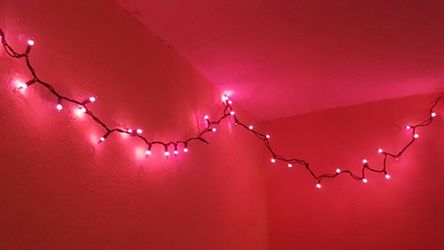 Purple Fairy Lights
