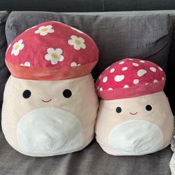 Malcolm + Limited Edition Flower Malcolm Squishmallow