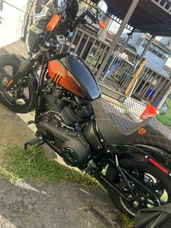 23 Harley Street Bob