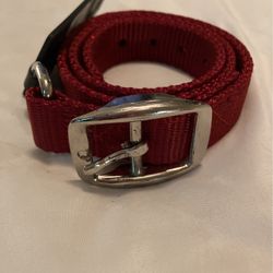 Extra Large Dog Collar 