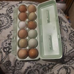 Fresh Farm Eggs