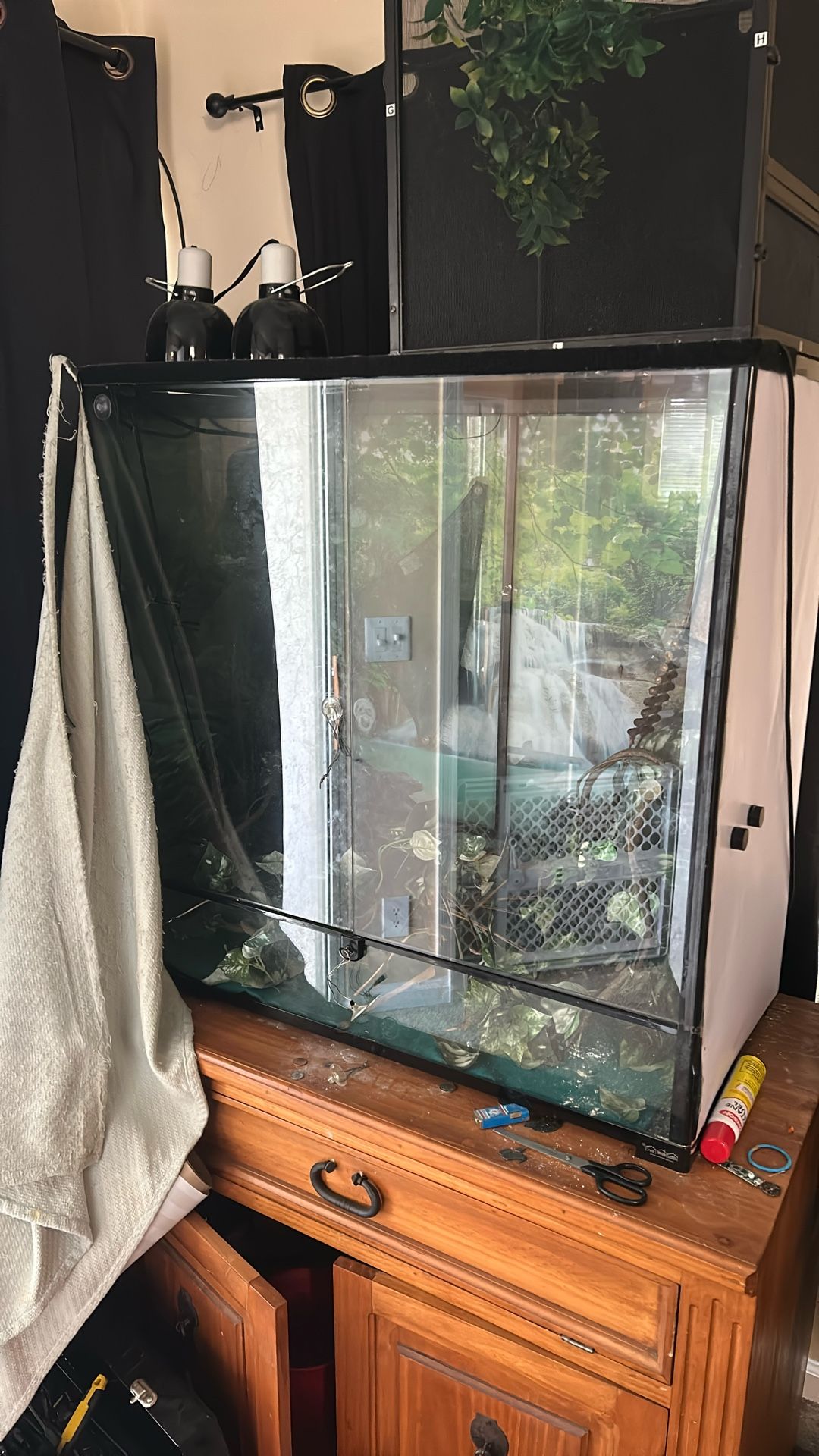 Terrarium 36x18x36” plus Misting system/UVB And Heat Lights