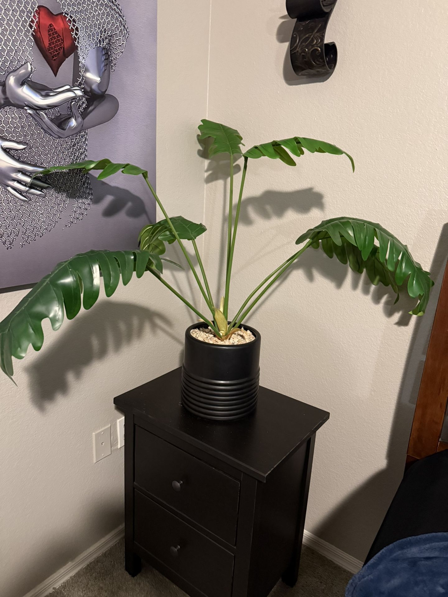 Plants