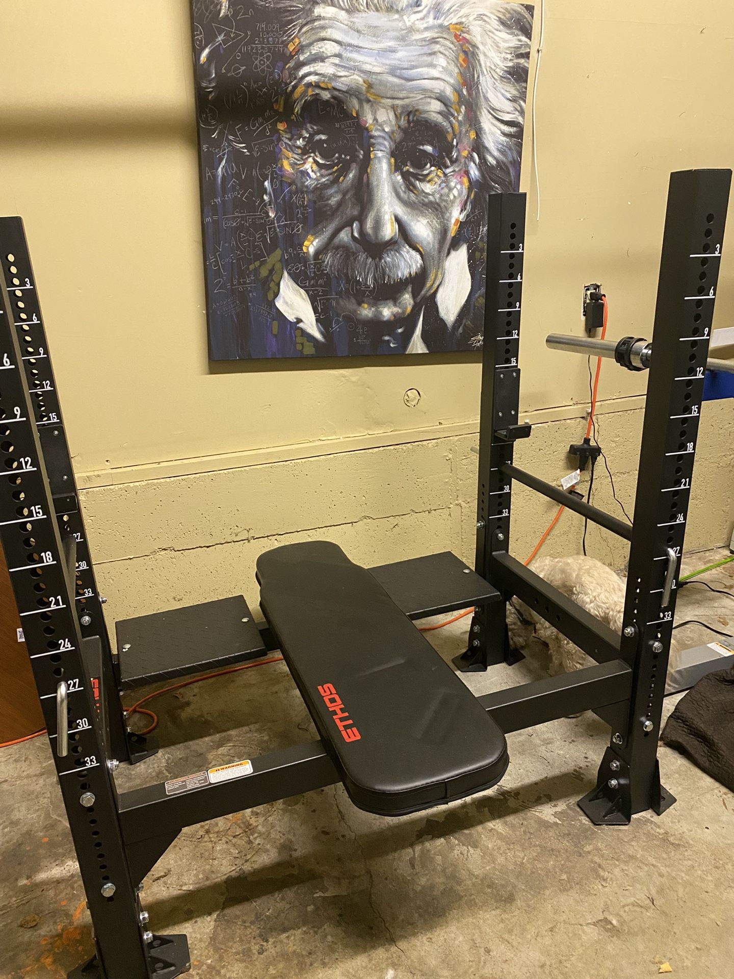 Ethos Olympic Weight Bench - Brand New