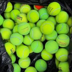 Used Tennis Balls 