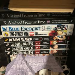 Manga lot 