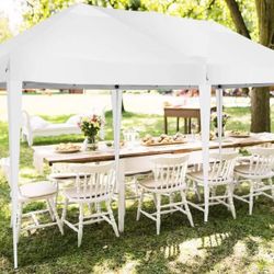 10x20 Pop up Canopy Tent, Protable Canopy Tent with 6 Sidewalls Waterproof Commercial Pop up Tent for Parties, Wedding, Camping, Courtyard with Carry 