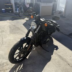 2020 Harley Davidson Iron 883 