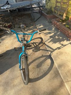 Mongoose