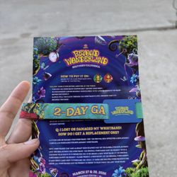 beyond wonderland 2026