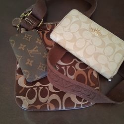 Cartera y bolsa coach y monedero LV $30