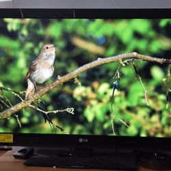 42in LG TV 