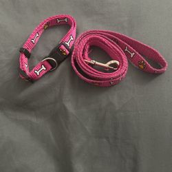 Dog Collar and Leash 