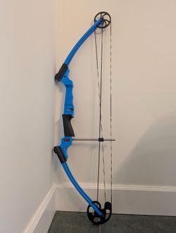 Genesis compound bow with quiver included.
