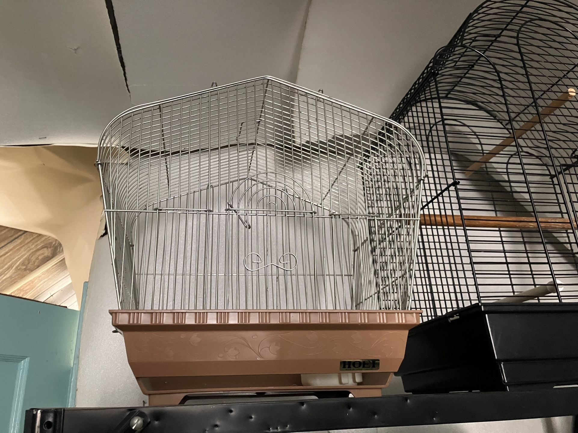 Bird Cage