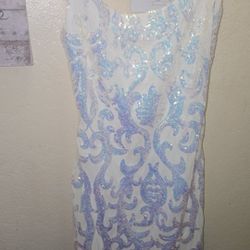 Windsor formal Dress Size Large 